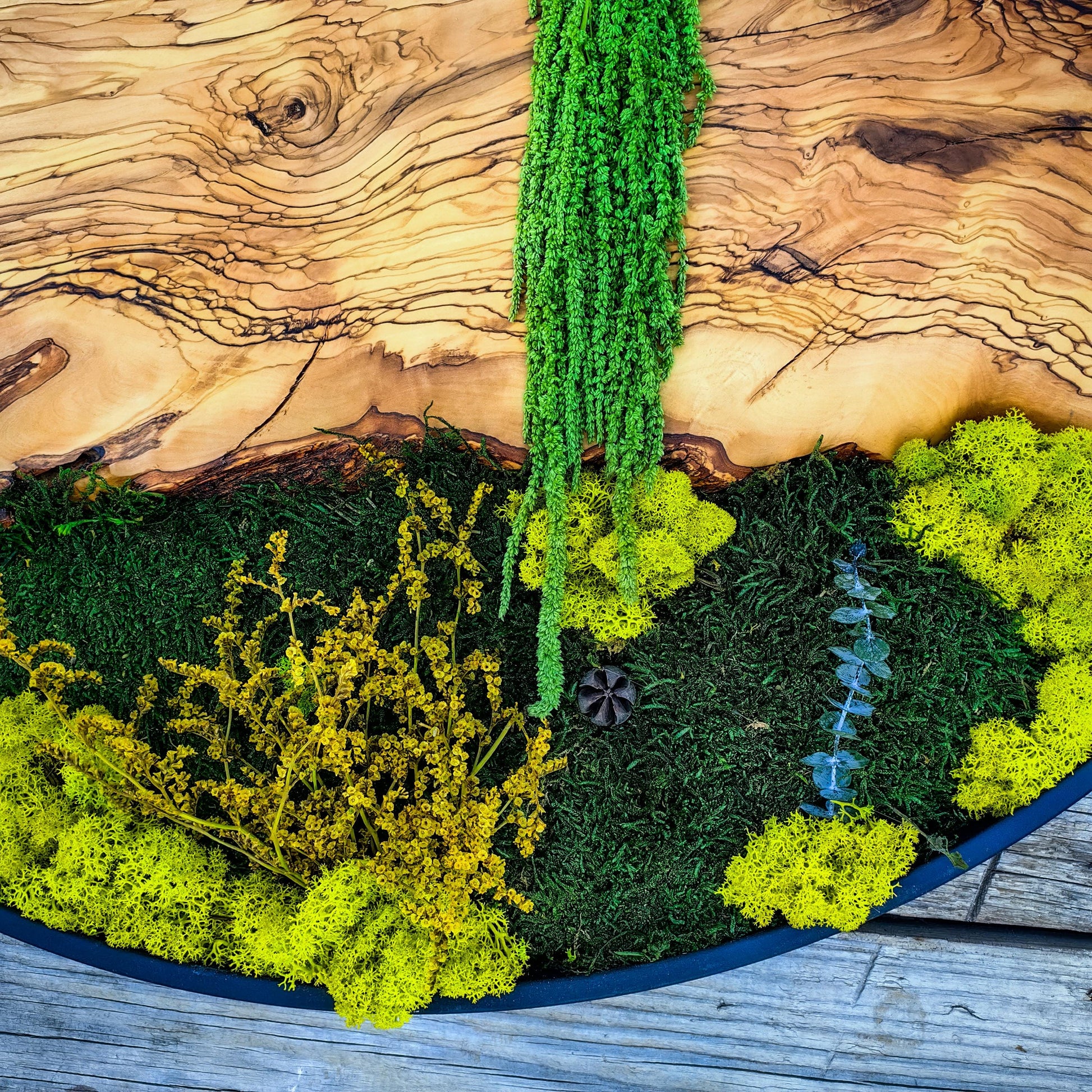 Custom Made Moss and Olive Wood Wall Art, Metal Frame Moss Wall Decor, Olive Wood and Moss Wall Art- Preserved Stabilized Moss Wall Decor