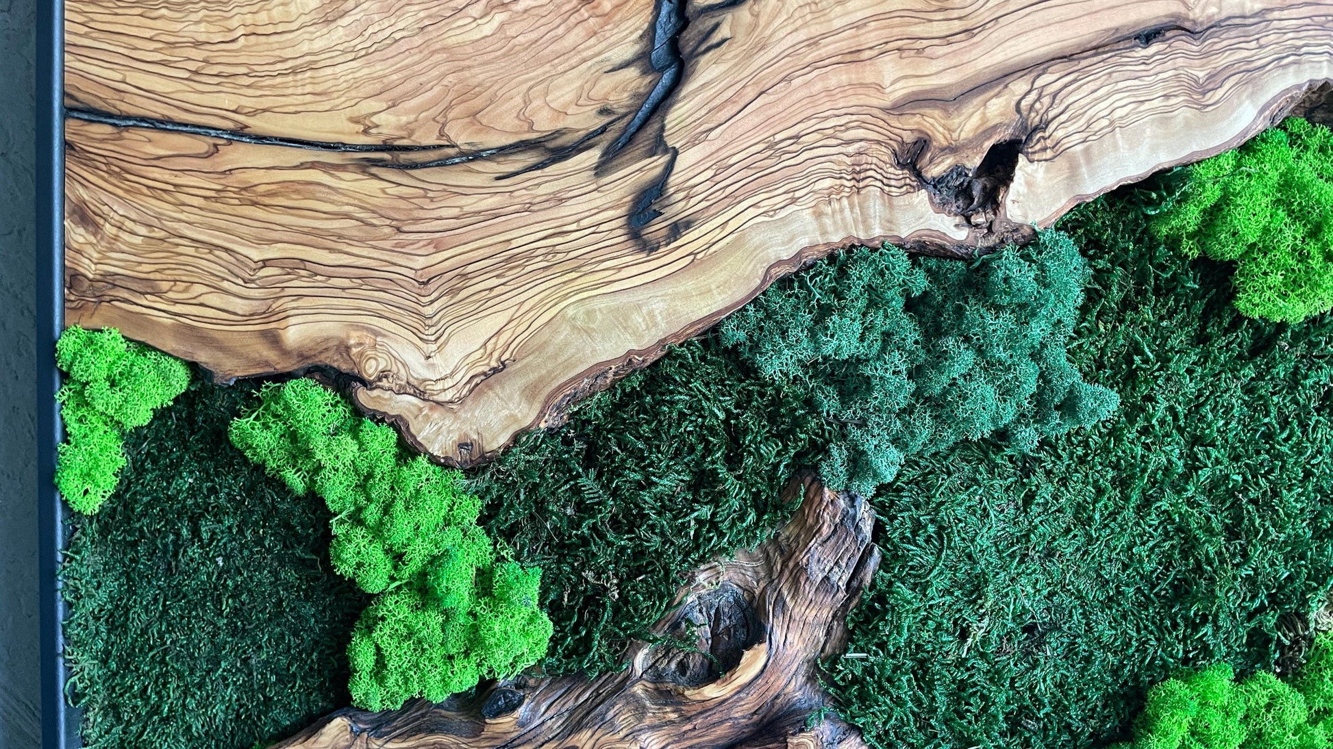 Moss and Wood Wall Art, Natural Wood & Moss Wall Decor for Home, Rustic Greenery Decor