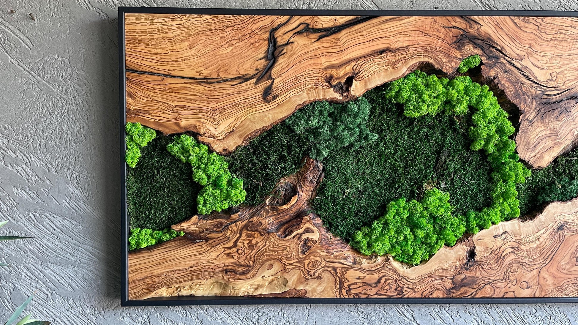 Moss and Wood Wall Art, Natural Wood & Moss Wall Decor for Home, Rustic Greenery Decor