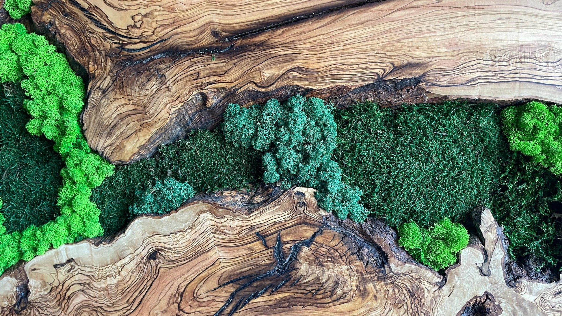 Moss and Wood Wall Art, Natural Wood & Moss Wall Decor for Home, Rustic Greenery Decor