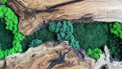 Moss and Wood Wall Art, Natural Wood & Moss Wall Decor for Home, Rustic Greenery Decor