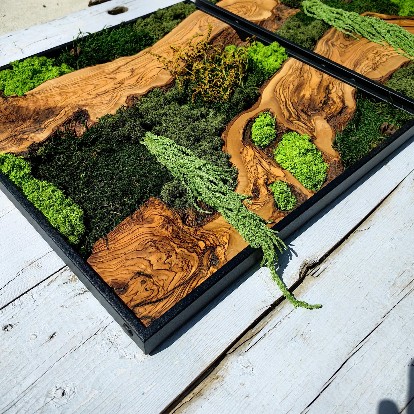 Moss & Wood Wall Art, Custom Made Moss and Olive Wood Wall Art, Unique Handmade Wall Hanging, Eco-Friendly Interior Accent