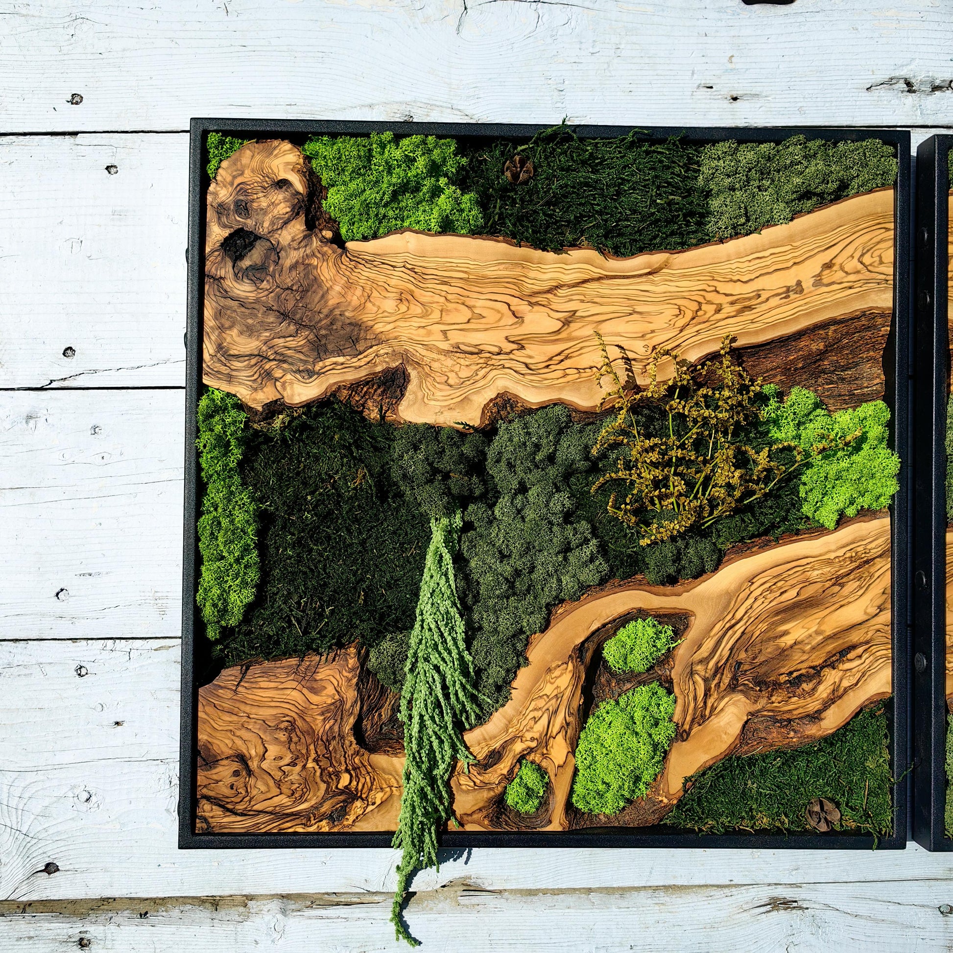 Moss & Wood Wall Art, Custom Made Moss and Olive Wood Wall Art, Unique Handmade Wall Hanging, Eco-Friendly Interior Accent