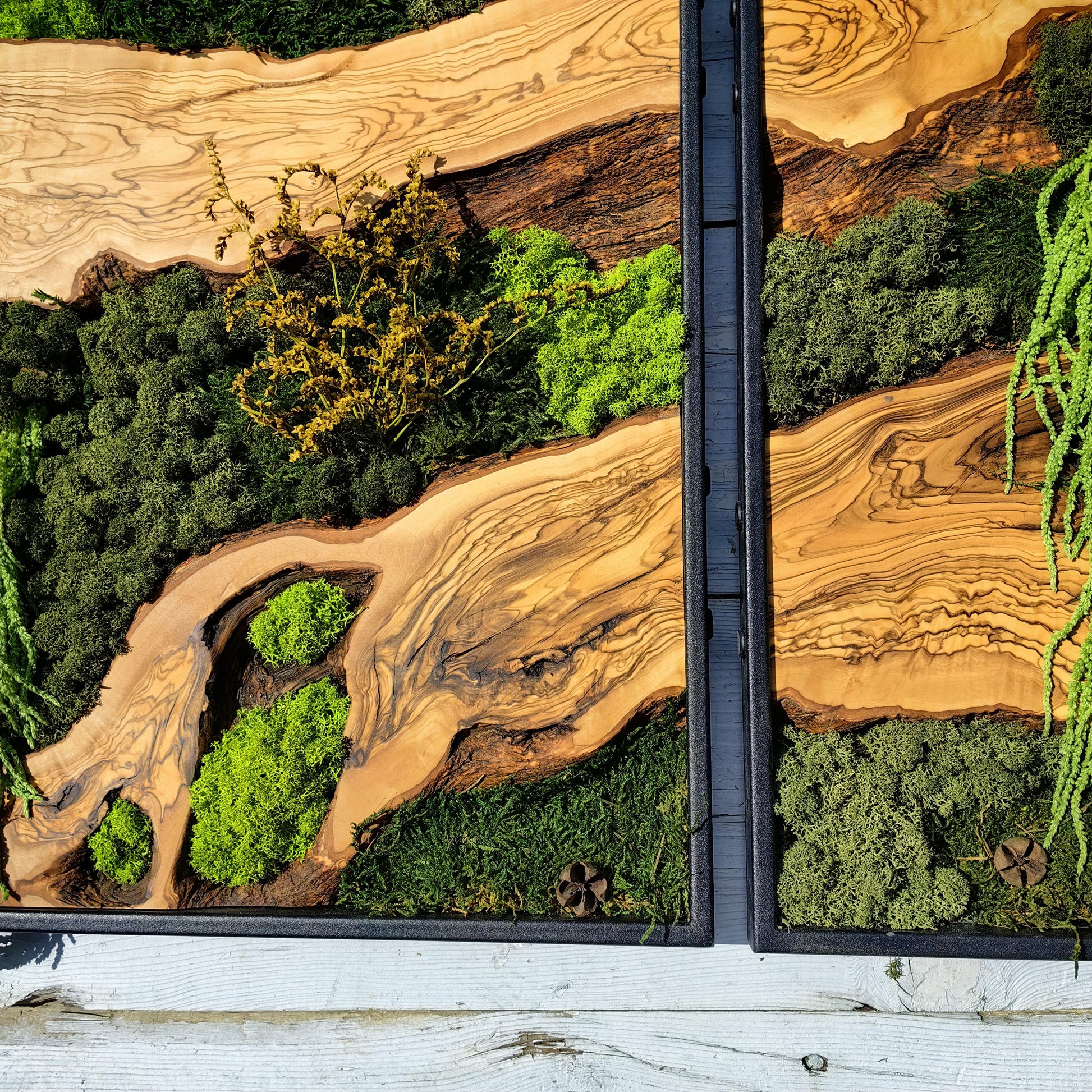 Moss & Wood Wall Art, Custom Made Moss and Olive Wood Wall Art, Unique Handmade Wall Hanging, Eco-Friendly Interior Accent