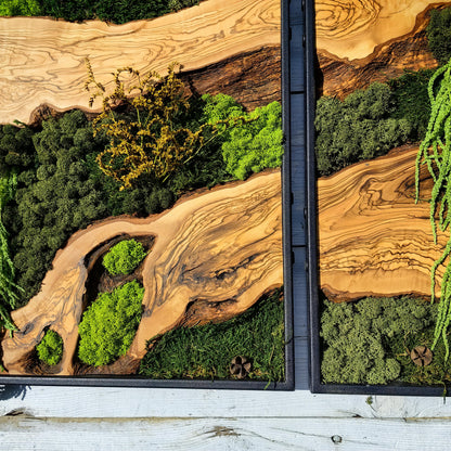Moss & Wood Wall Art, Custom Made Moss and Olive Wood Wall Art, Unique Handmade Wall Hanging, Eco-Friendly Interior Accent