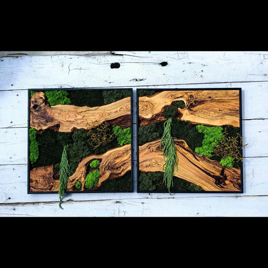 Moss & Wood Wall Art, Custom Made Moss and Olive Wood Wall Art, Unique Handmade Wall Hanging, Eco-Friendly Interior Accent