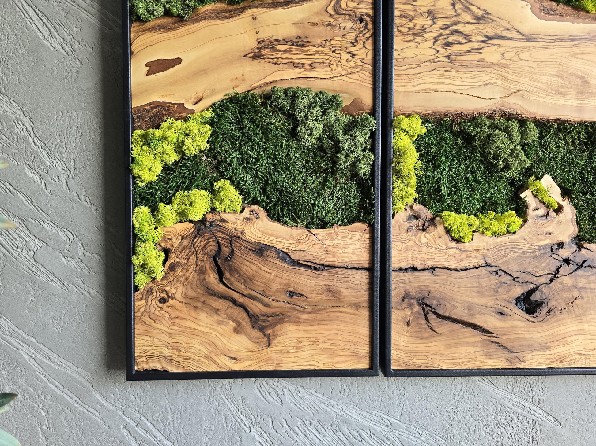 Moss Wall Decor | Olive Wood & Moss Wall Art | Unique Botanical Home Decor | Green Wall Art for Living Room