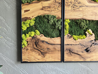 Moss Wall Decor | Olive Wood & Moss Wall Art | Unique Botanical Home Decor | Green Wall Art for Living Room
