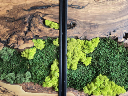 Moss Wall Decor | Olive Wood & Moss Wall Art | Unique Botanical Home Decor | Green Wall Art for Living Room