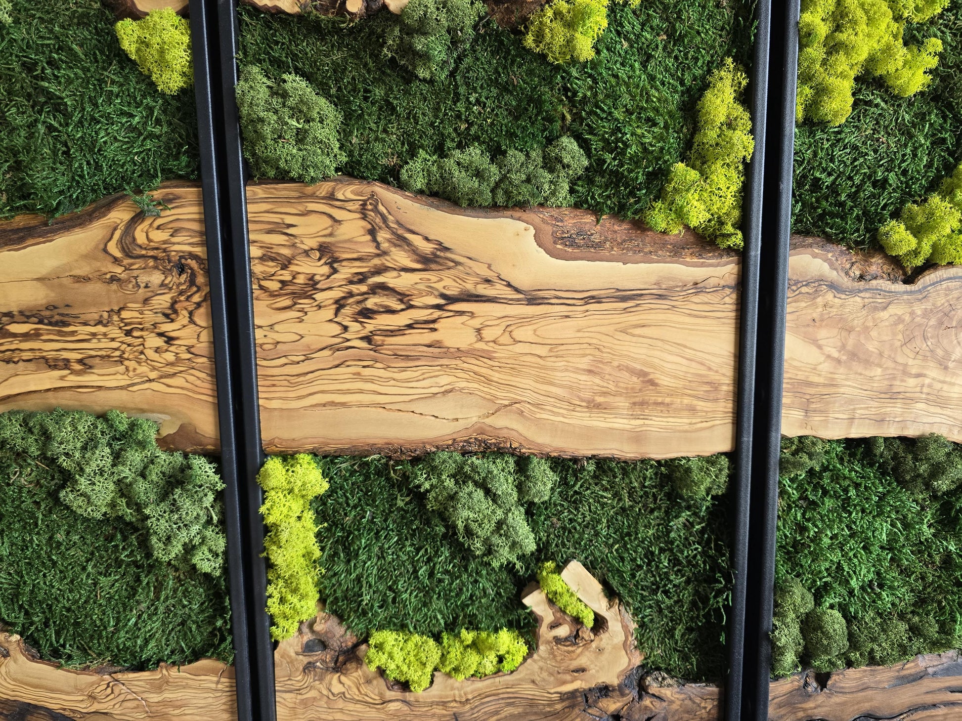 Moss Wall Decor | Olive Wood & Moss Wall Art | Unique Botanical Home Decor | Green Wall Art for Living Room