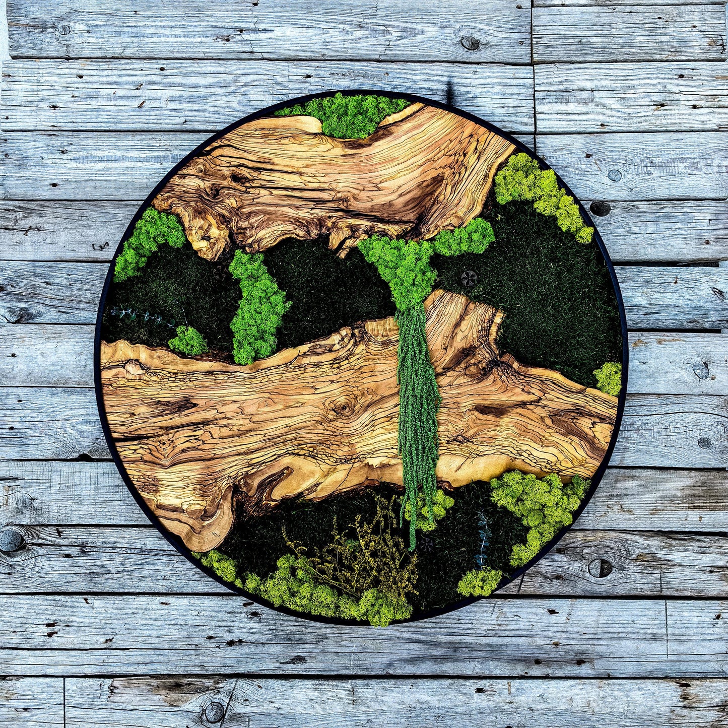 Custom Made Moss and Olive Wood Wall Art, Metal Frame Moss Wall Decor, Olive Wood and Moss Wall Art- Preserved Stabilized Moss Wall Decor
