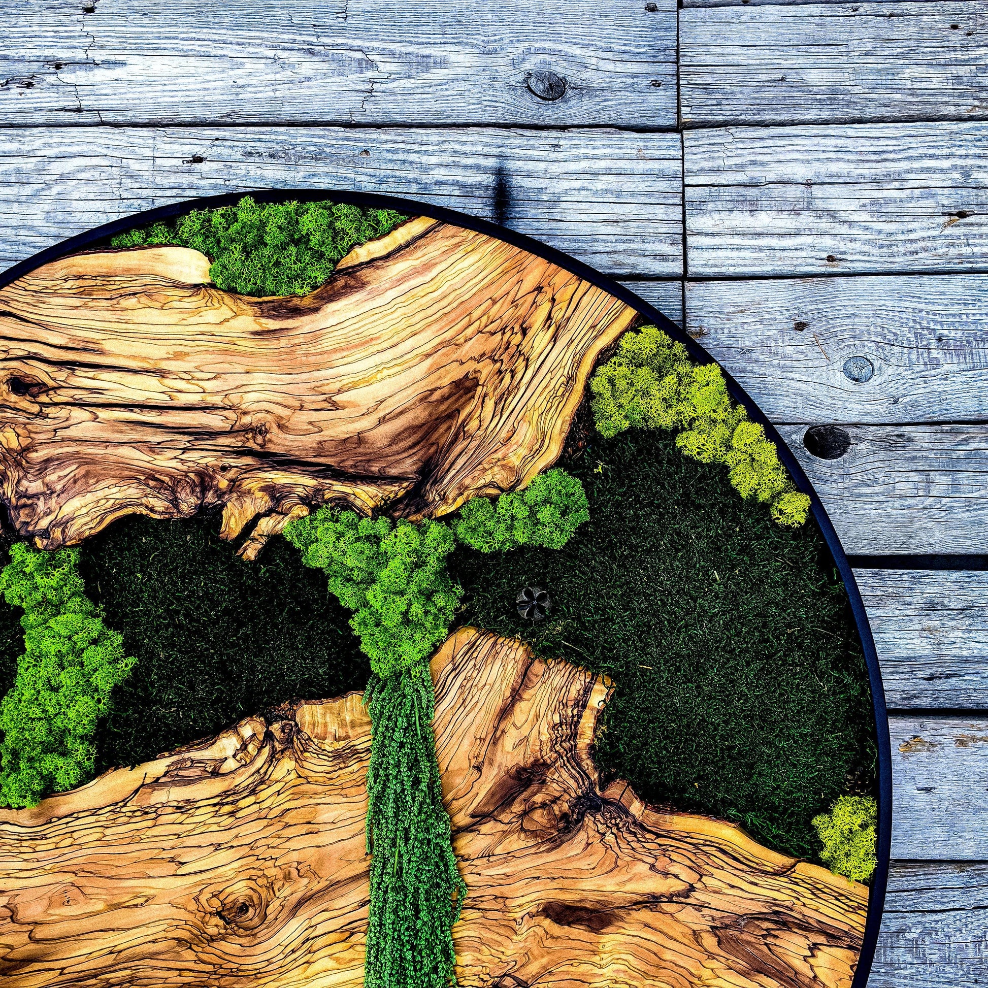 Custom Made Moss and Olive Wood Wall Art, Metal Frame Moss Wall Decor, Olive Wood and Moss Wall Art- Preserved Stabilized Moss Wall Decor