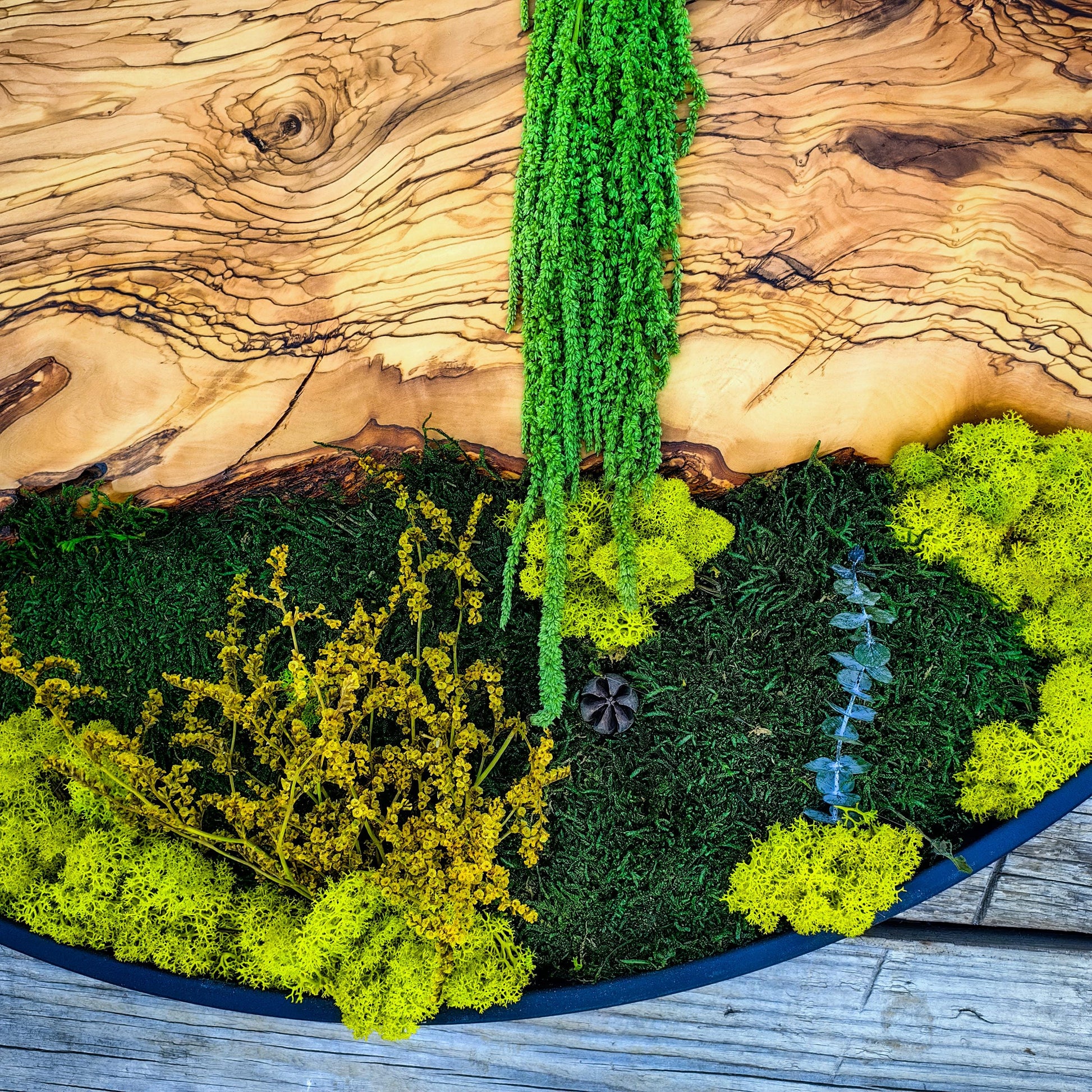 Custom Made Moss and Olive Wood Wall Art, Metal Frame Moss Wall Decor, Olive Wood and Moss Wall Art- Preserved Stabilized Moss Wall Decor
