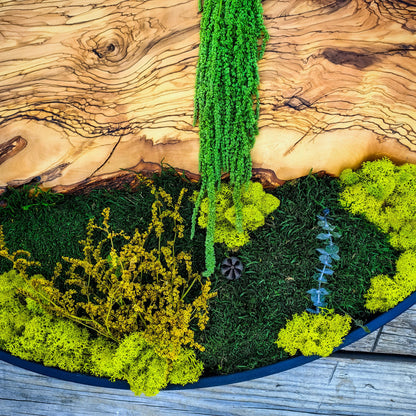 Custom Made Moss and Olive Wood Wall Art, Metal Frame Moss Wall Decor, Olive Wood and Moss Wall Art- Preserved Stabilized Moss Wall Decor