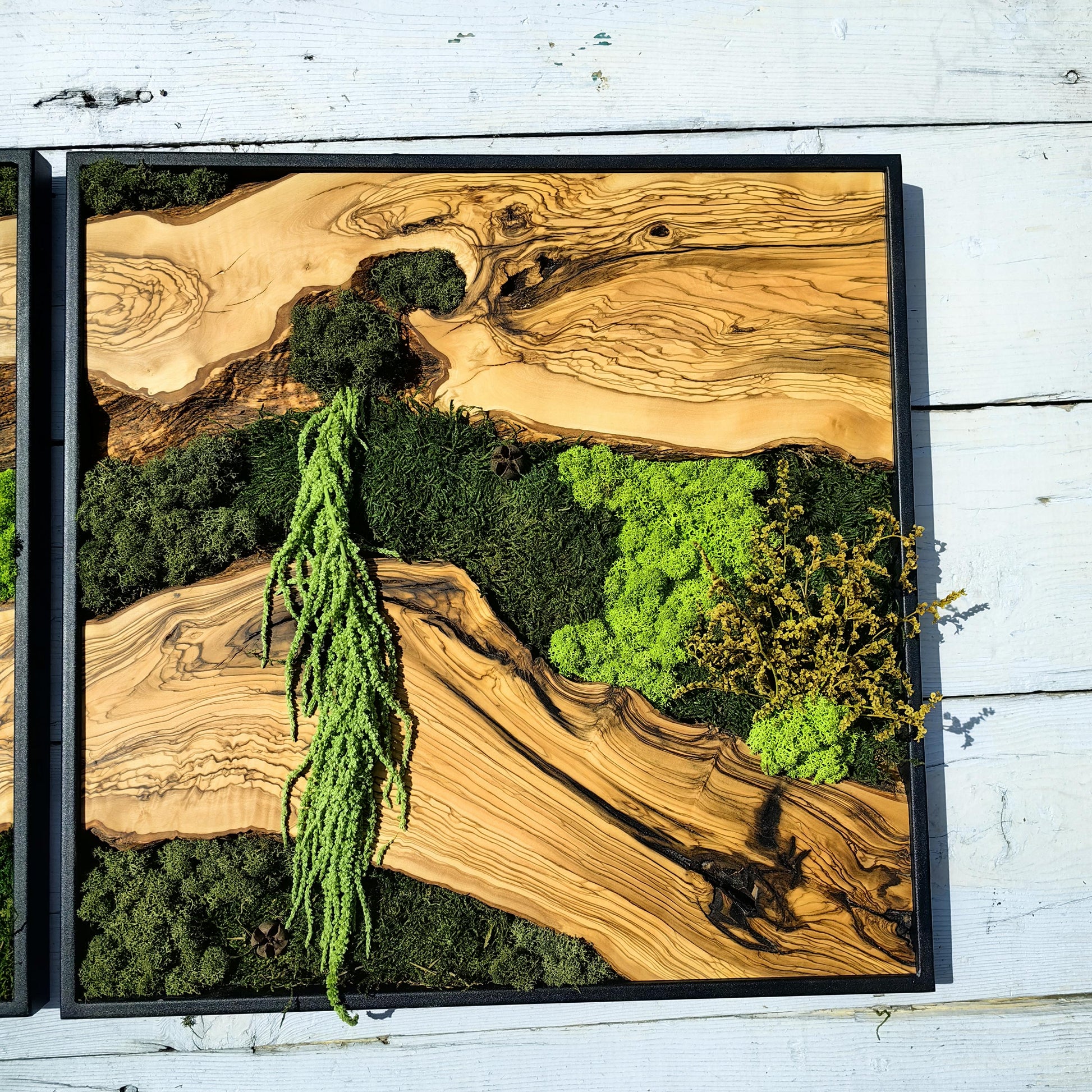 Moss & Wood Wall Art, Custom Made Moss and Olive Wood Wall Art, Unique Handmade Wall Hanging, Eco-Friendly Interior Accent