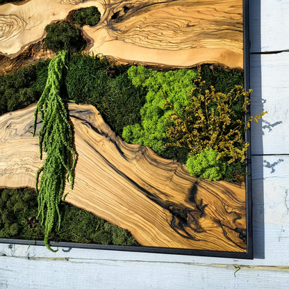 Moss & Wood Wall Art, Custom Made Moss and Olive Wood Wall Art, Unique Handmade Wall Hanging, Eco-Friendly Interior Accent