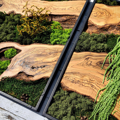 Moss & Wood Wall Art, Custom Made Moss and Olive Wood Wall Art, Unique Handmade Wall Hanging, Eco-Friendly Interior Accent