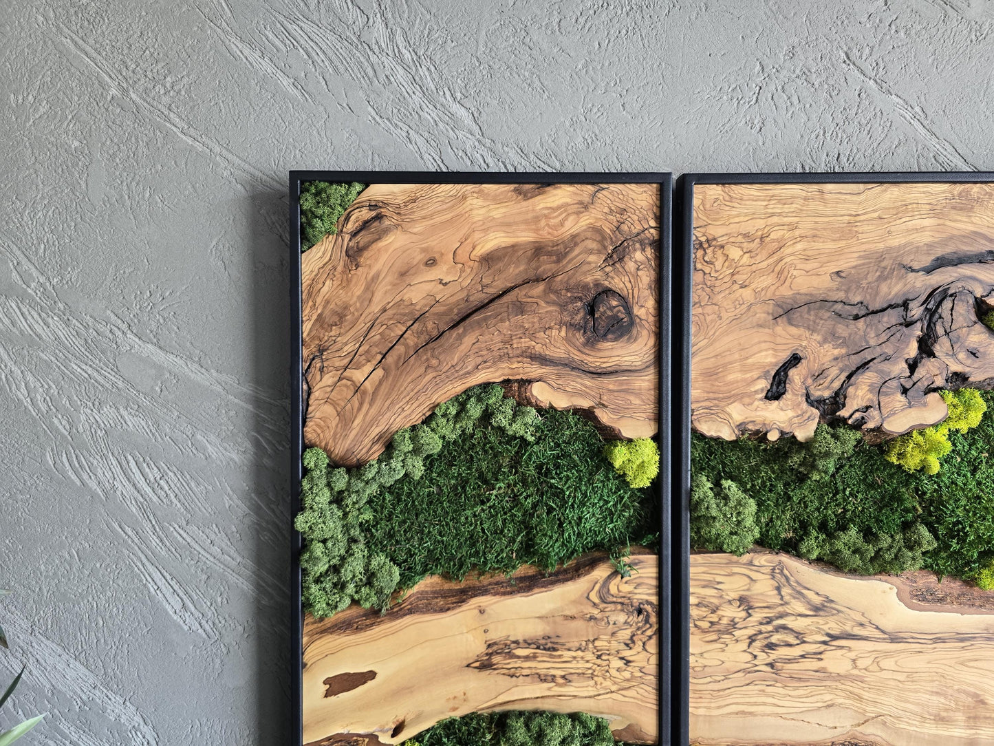 Moss Wall Decor | Olive Wood & Moss Wall Art | Unique Botanical Home Decor | Green Wall Art for Living Room