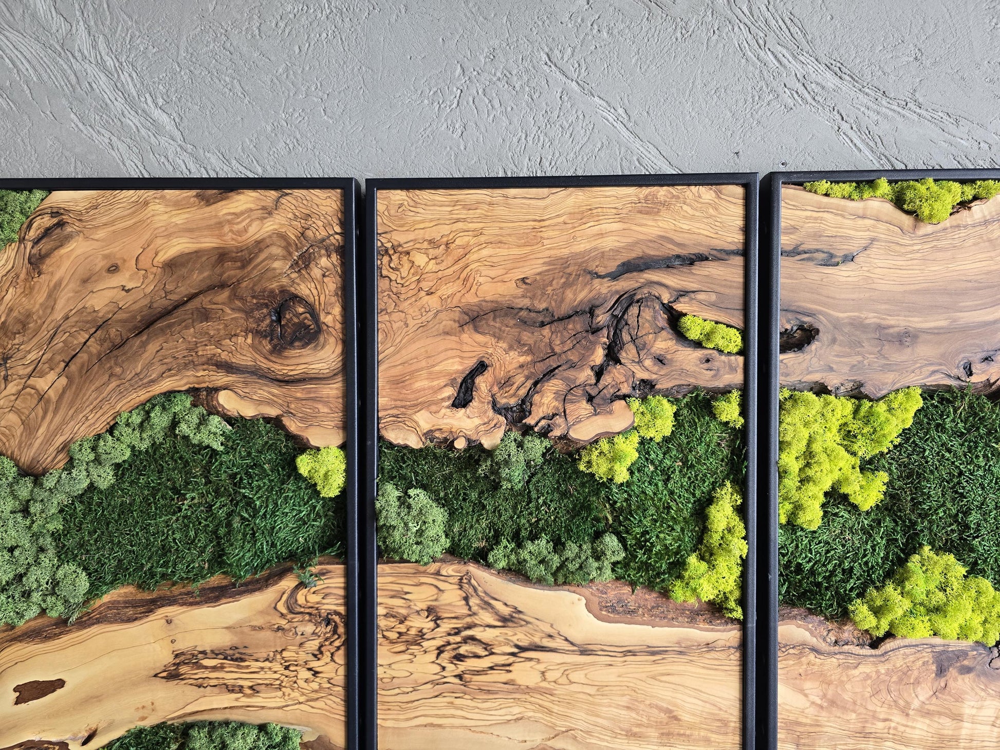 Moss Wall Decor | Olive Wood & Moss Wall Art | Unique Botanical Home Decor | Green Wall Art for Living Room