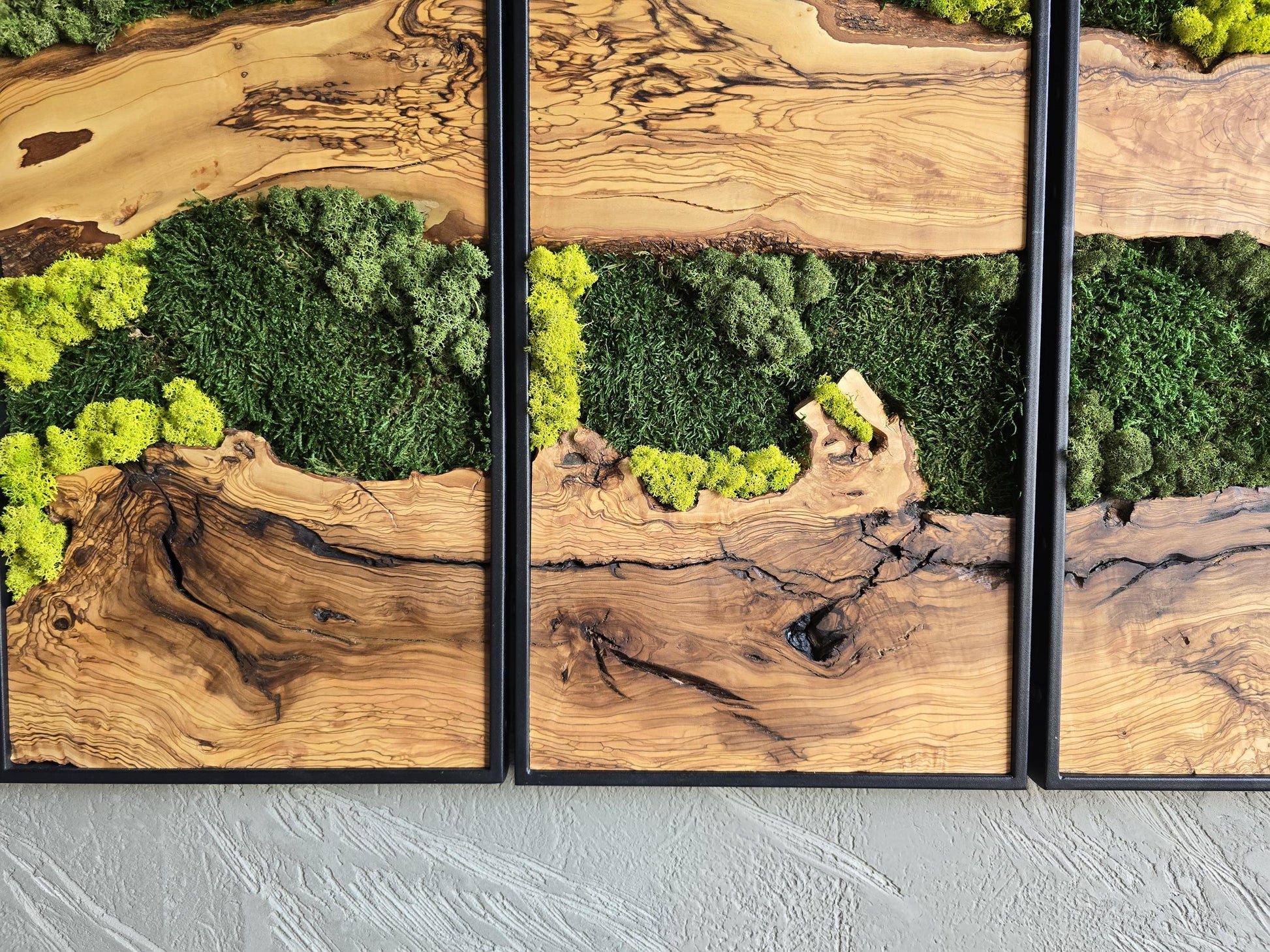 Moss Wall Decor | Olive Wood & Moss Wall Art | Unique Botanical Home Decor | Green Wall Art for Living Room