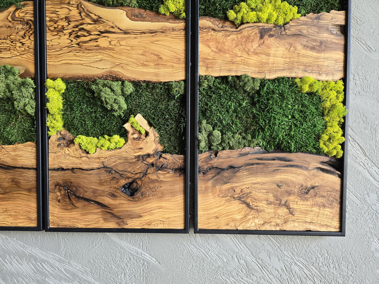 Moss Wall Decor | Olive Wood & Moss Wall Art | Unique Botanical Home Decor | Green Wall Art for Living Room