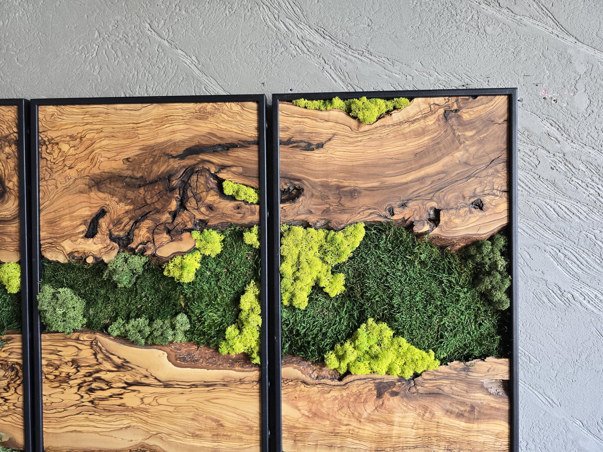 Moss Wall Decor | Olive Wood & Moss Wall Art | Unique Botanical Home Decor | Green Wall Art for Living Room