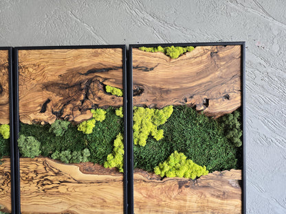 Moss Wall Decor | Olive Wood & Moss Wall Art | Unique Botanical Home Decor | Green Wall Art for Living Room