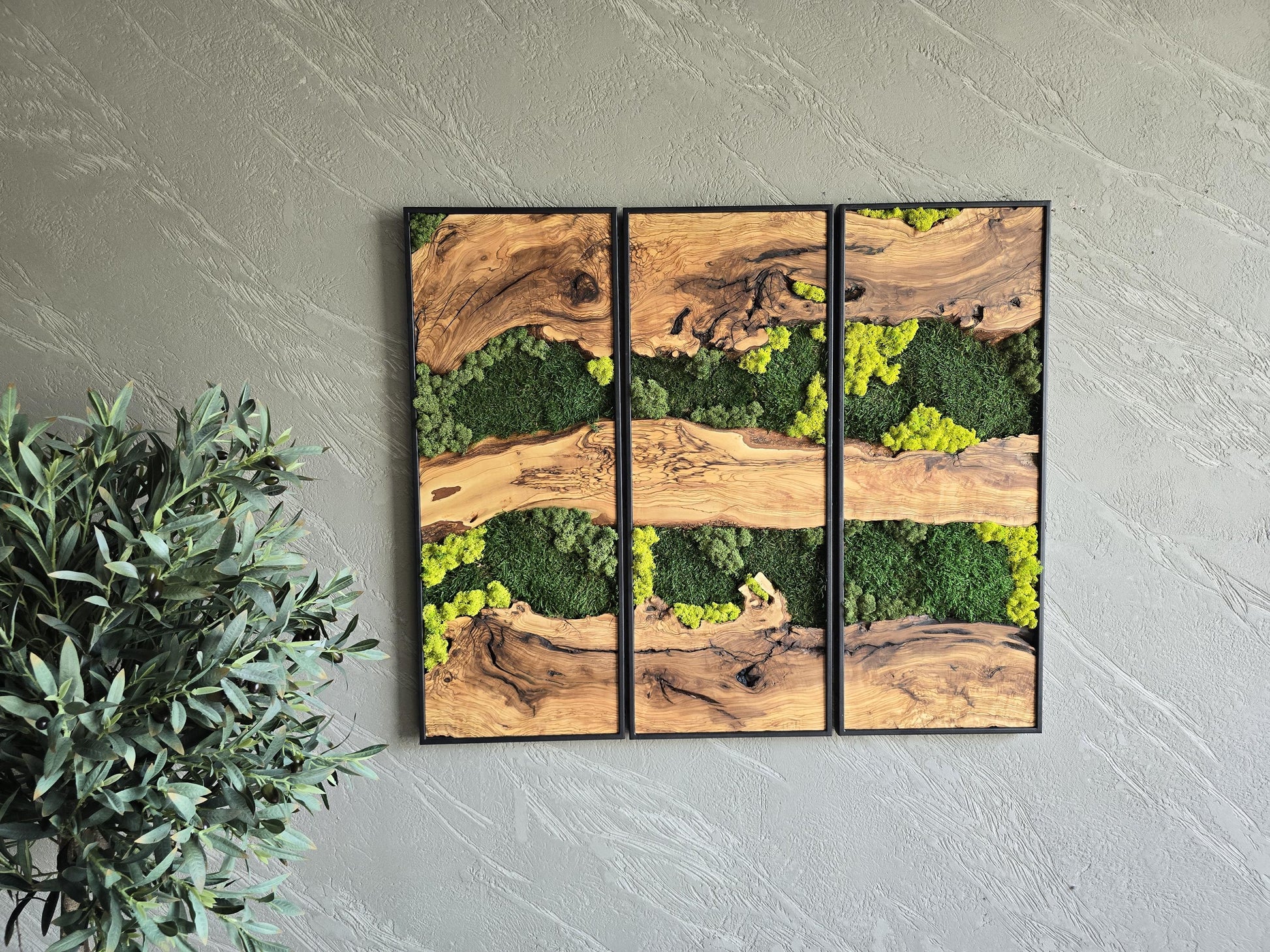 Moss Wall Decor | Olive Wood & Moss Wall Art | Unique Botanical Home Decor | Green Wall Art for Living Room