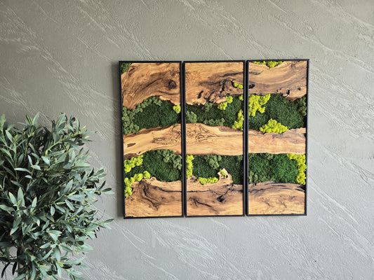 Moss Wall Decor | Olive Wood & Moss Wall Art | Unique Botanical Home Decor | Green Wall Art for Living Room