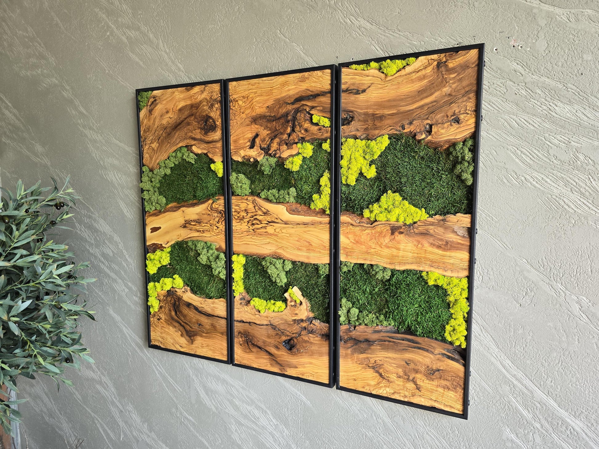 Moss Wall Decor | Olive Wood & Moss Wall Art | Unique Botanical Home Decor | Green Wall Art for Living Room